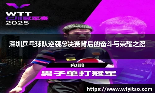 深圳乒乓球队逆袭总决赛背后的奋斗与荣耀之路